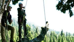 5. Bölüm