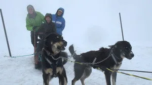 8. Bölüm