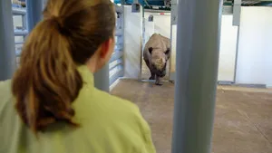 Disney's Animal Kingdom'ın Sihri 2. sezon 5. bölüm görseli