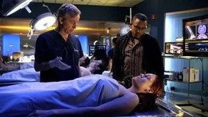 CSI: NY 7. sezon 13. bölüm görseli