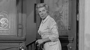 Petticoat Junction 1. sezon 5. bölüm görseli