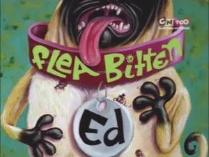 Ed, Edd ve Eddy 1. sezon 20. bölüm görseli