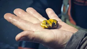Altın Peşinde: Köpüklü Sular 8. sezon 6. bölüm görseli
