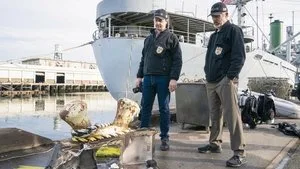 NCIS 20. sezon 13. bölüm görseli