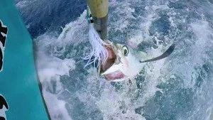 Battlefish 1. sezon 2. bölüm görseli