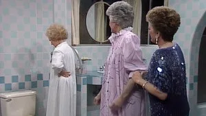 The Golden Girls 1. sezon 19. bölüm görseli