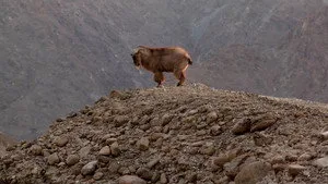 Arabistan Kurakları 1. sezon 4. bölüm görseli