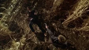 Criminal Minds 2. sezon 15. bölüm görseli