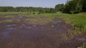 The Curse of Oak Island 11. sezon 12. bölüm görseli
