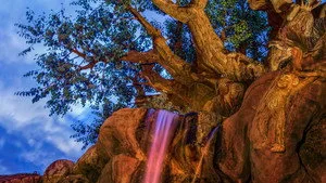 Disney Parks Sunrise Series 1. sezon 2. bölüm görseli