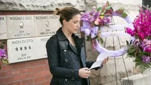 Chicago P.D. 2. sezon 21. bölüm görseli