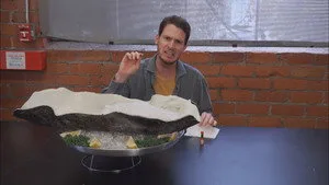 Tosh.0 11. sezon 2. bölüm görseli