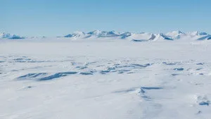 1. Bölüm