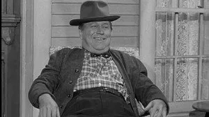 Petticoat Junction 1. sezon 15. bölüm görseli