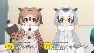 Kemono Friends 2. sezon 6. bölüm görseli