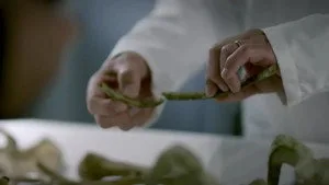 Naming the Dead 1. sezon 5. bölüm görseli