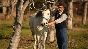 15. Bölüm - Cambaz Muammer’in Tayı
