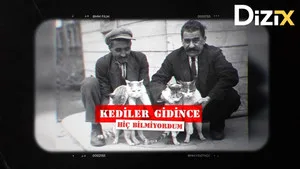 Köpekler ve Kediler Gidince