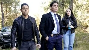 NCIS 22. sezon 15. bölüm görseli
