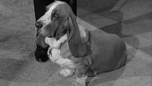 Petticoat Junction 1. sezon 32. bölüm görseli