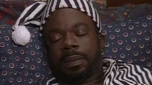 The Fresh Prince of Bel-Air 1. sezon 10. bölüm görseli