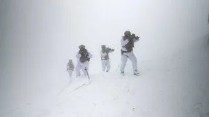 Alplerde Saldırı