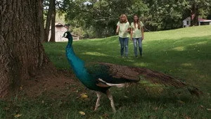 Sam's Zookeeper Challenge 1. sezon 4. bölüm görseli