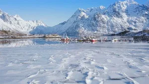 6. Bölüm