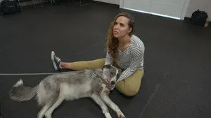 Köpekler 2. sezon 3. bölüm görseli