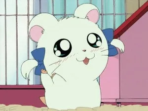 Hamtaro 1. sezon 15. bölüm görseli