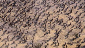 1. Bölüm: Hareket Hâlindeki Dünya