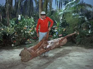 Gilligan's Island 3. sezon 3. bölüm görseli