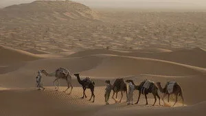 Afrika'nın Gizli Hazineleri 1. sezon 3. bölüm görseli