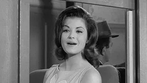 Petticoat Junction 1. sezon 1. bölüm görseli