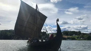 Viking Denizleri