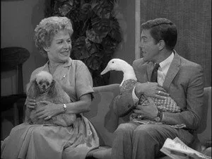 The Dick Van Dyke Show 2. sezon 1. bölüm görseli