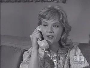 Alfred Hitchcock Sunar 7. sezon 5. bölüm görseli
