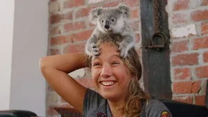 Yavru Koalalar