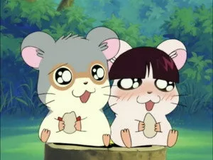 Hamtaro 1. sezon 93. bölüm görseli