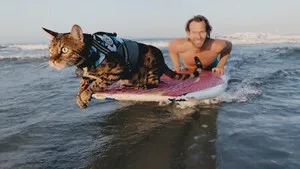 Cat People 1. sezon 6. bölüm görseli