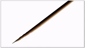 1. Bölüm