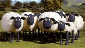 Koyun Shaun 1. sezon 19. bölüm görseli