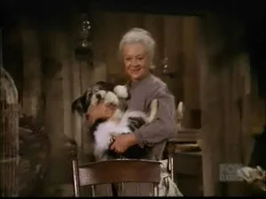 17. Bölüm