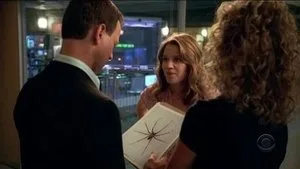 CSI: NY 3. sezon 1. bölüm görseli