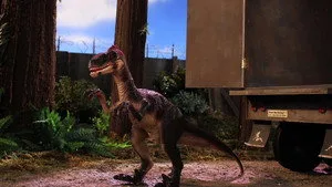 6. Bölüm