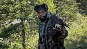 Ducks and Falcons