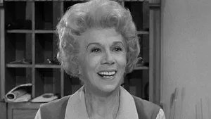 Petticoat Junction 1. sezon 19. bölüm görseli