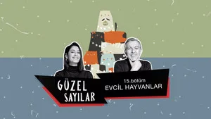 Evcil Hayvanlar