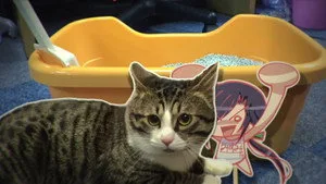 My Wife is the Student Council President 0. sezon 5. bölüm görseli