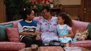 Family Matters 1. sezon 1. bölüm görseli